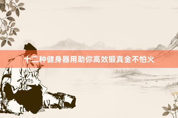 十二种健身器用助你高效锻真金不怕火